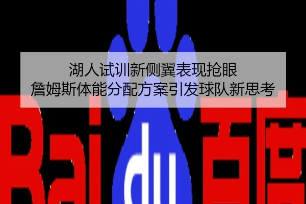 湖人试训新侧翼表现抢眼 詹姆斯体能分配方案引发球队新思考